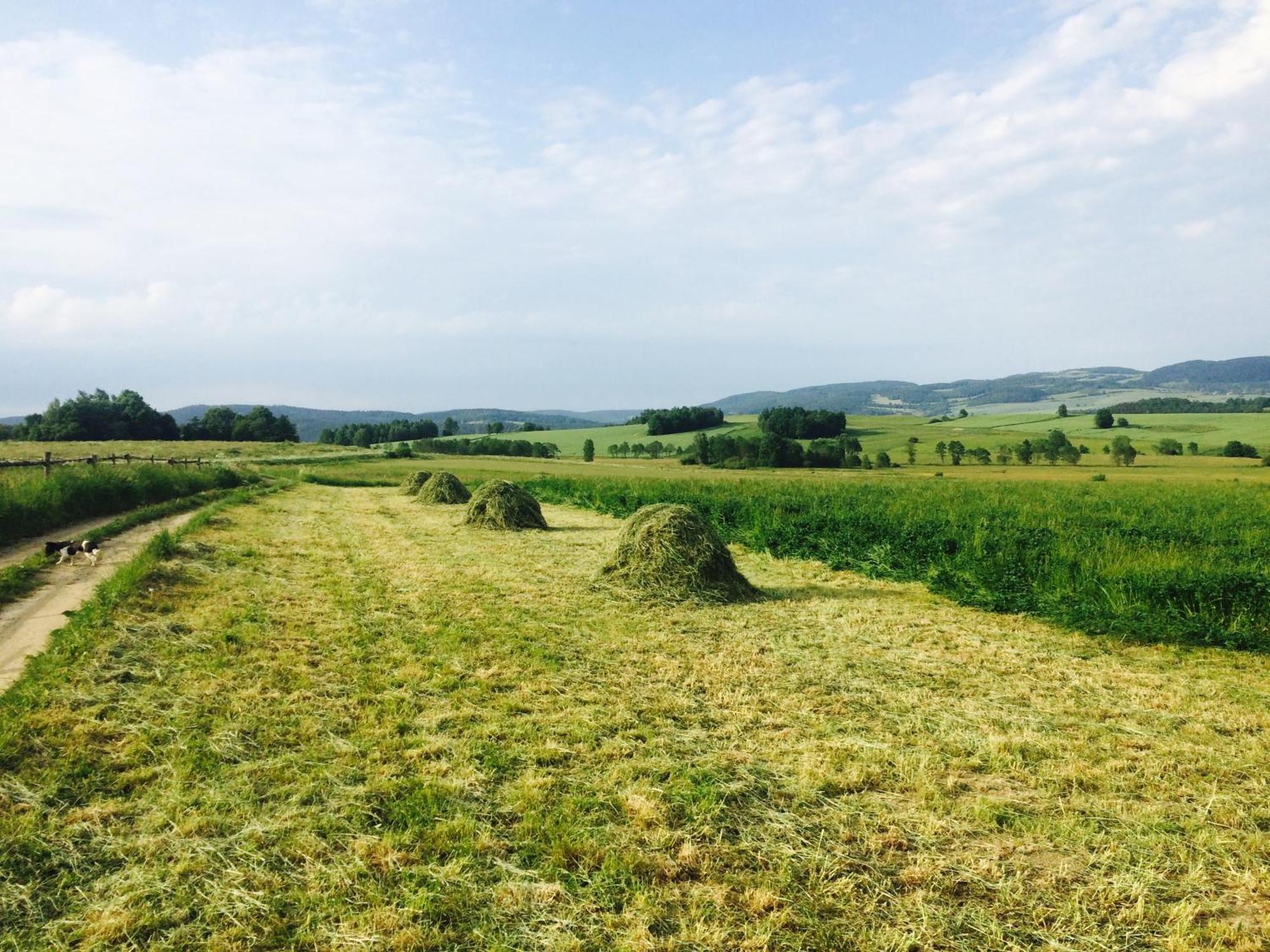 Siedlisko Wierchy Wiesciszowice Bagian luar foto